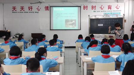 《3　有趣的动物共栖现象》人教版小学语文四下课堂实录-江西上饶市_广丰县-刘斐