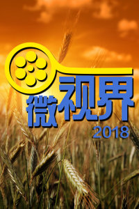 微视界 2018