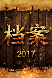 档案 2017