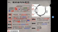 3月31日 初三生物（专题：眼和耳的结构）