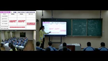 《第2章 组成细胞的分子-第3节　遗传信息的携带者》人教版高一生物必修一教学视频-四川达州市_渠县-杨洪莉