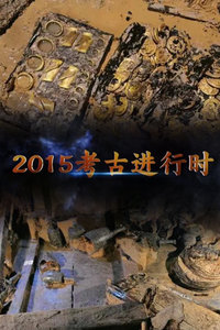 2015 考古进行时