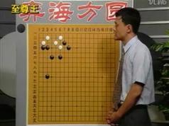 围棋实战攻防全5集_围棋实战与攻防技法大全_围棋实战常形攻防