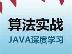 Java&算法深度学习实践视频教程（10讲含课程案例源码）