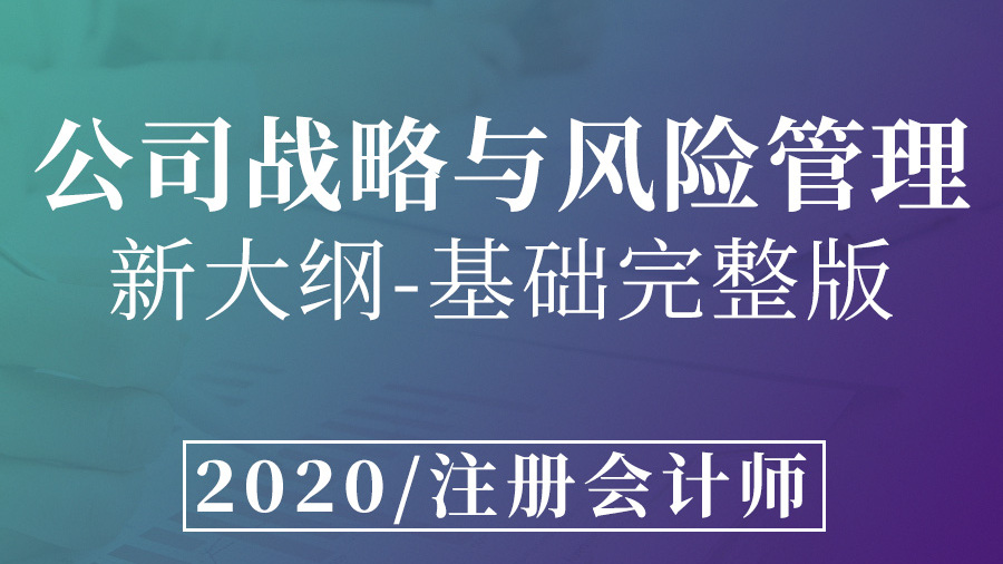 注册会计师-公司战略与风险管理