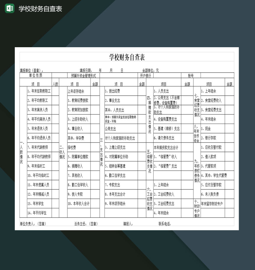 某重点高等学校财务自查表Excel模板-1