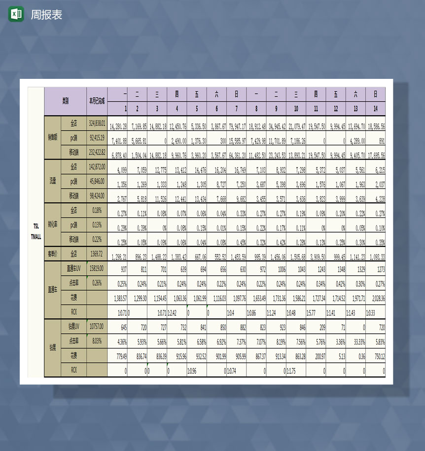 tsl项目周报表Excel模板-1