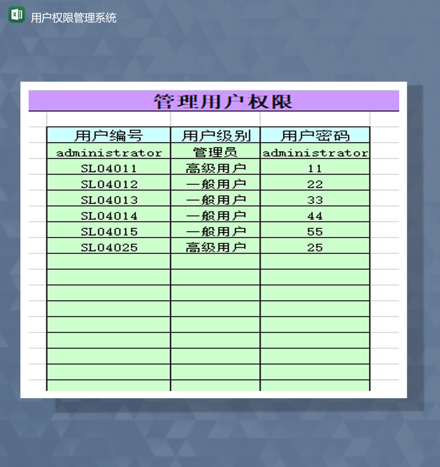 用户权限管理系统说明明细表Excel模板-1