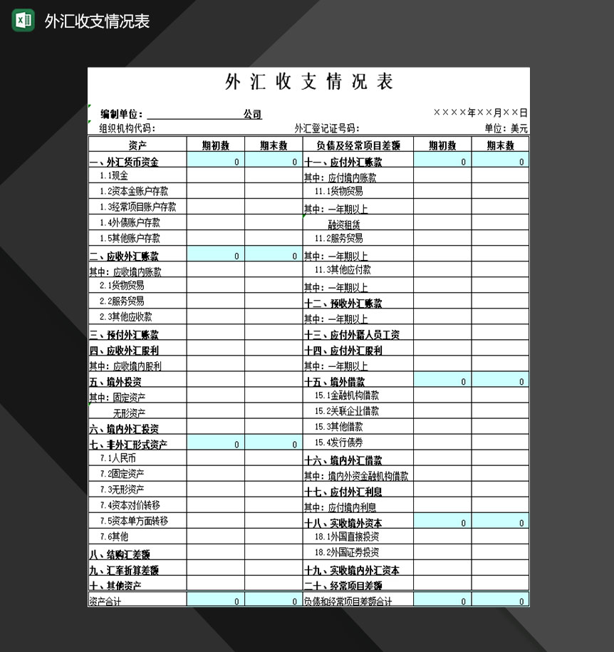企业公司外汇收支情况记录表Excel模板-1