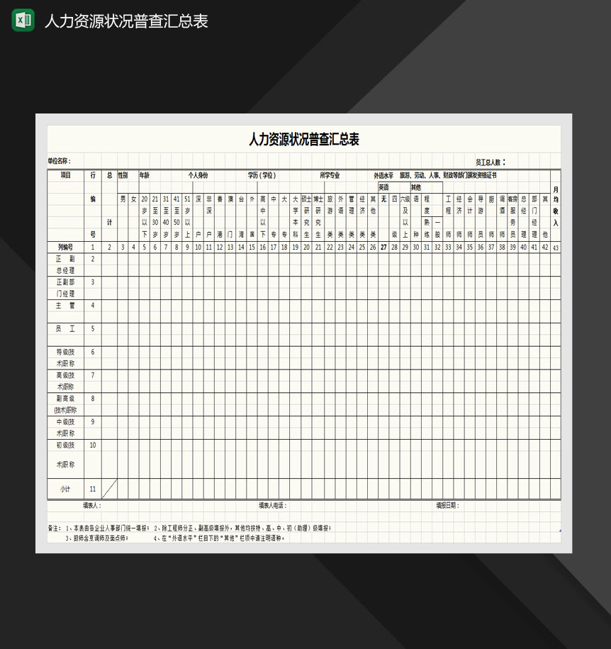 人力资源状况普查汇总表Excel模板-1