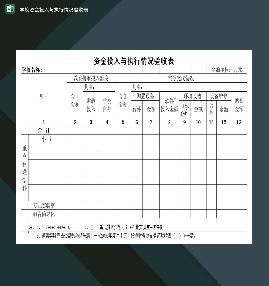 重点高等学校资金投入与执行情况验收表Excel模板-1