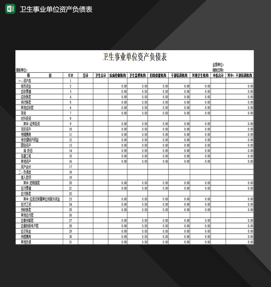 卫生事业单位资产负债明细登记表格Excel模板-1