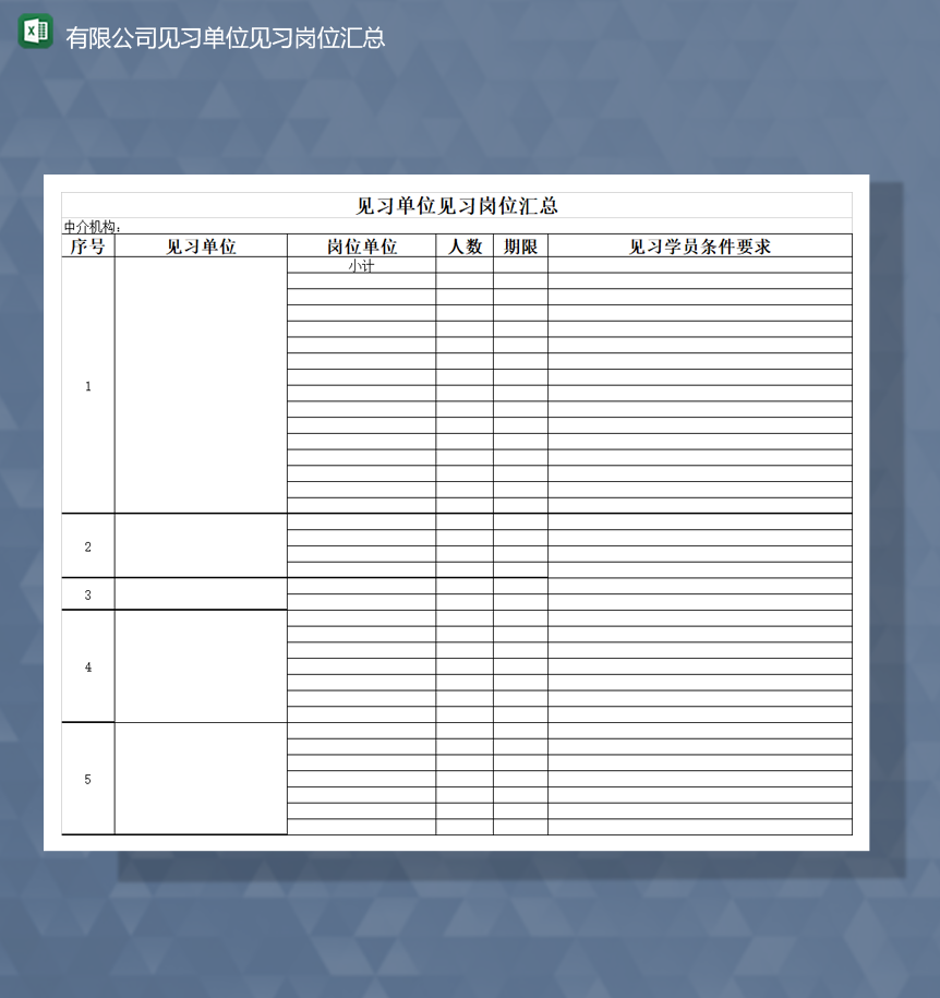 2020有限公司见习单位见习岗位汇总报表Excel模板-1