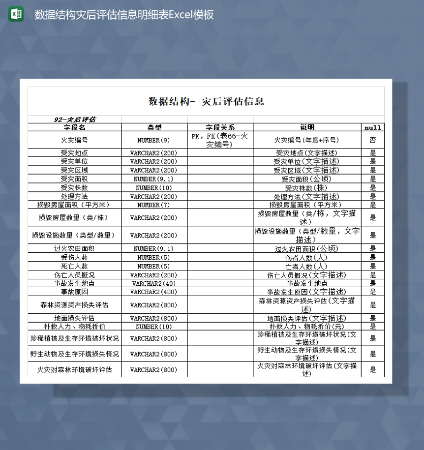 数据结构灾后评估信息明细表Excel模板-1