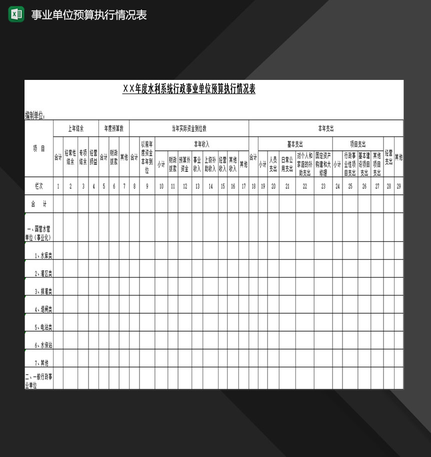 水利系统行政事业单位预算执行情况表Excel模板-1