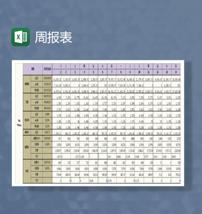 tsl项目周报表Excel模板