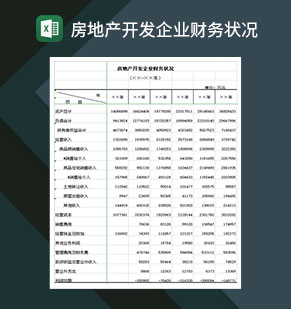 房地产开发企业财务状况Excel模板