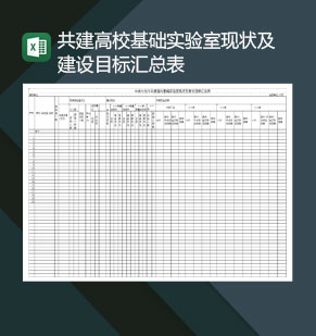 高校基础实验室现状及建设目标汇总表 Excel模板