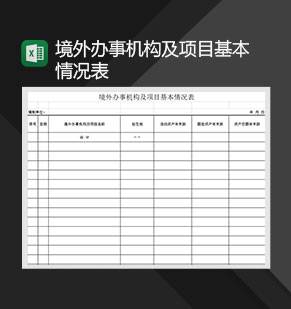 境外办事机构及项目基本情况表Excel模板