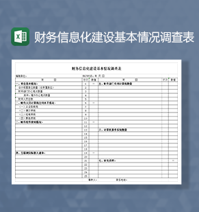 财务信息化建设基本情况调查表Excel模板