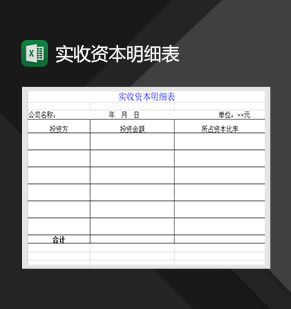 实收资本明细表收支财务Excel模板