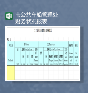 市公共车船管理处财务状况报表Excel模板