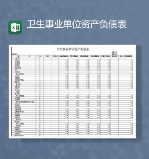 卫生事业单位资产负债表财务报表Excel模板