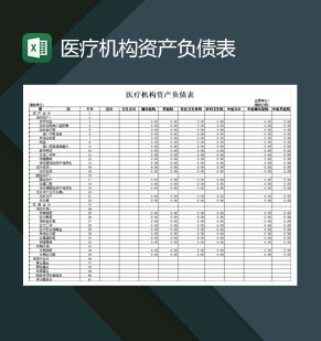 医疗机构资产负债表Excel模板