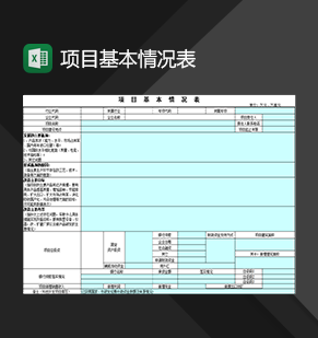 企业公司项目基本情况记录表Excel模板