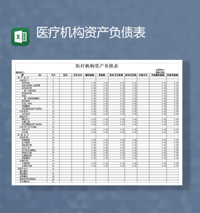 医疗机构资产负债财务统计报表Ex