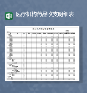 医疗机构财务收支资产明细表Exce