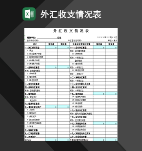 企业公司外汇收支情况记录表Exce