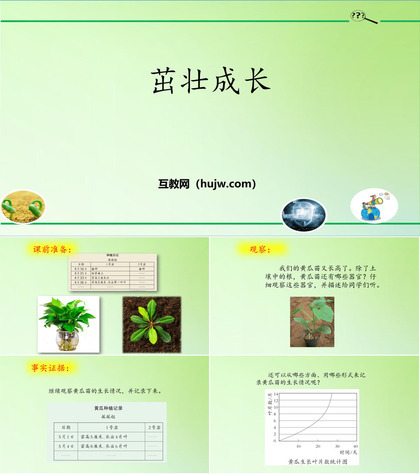 《茁壮成长》PPT课件下载