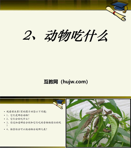 《动物吃什么》PPT课件下载2