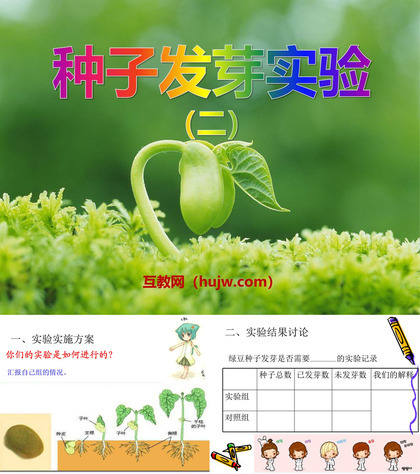 《种子发芽实验(二)》生物与环境PPT课件下载2