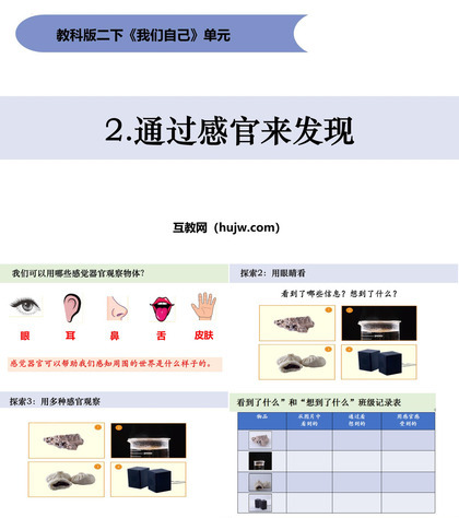 《通过感官来发现》PPT免费课件下载