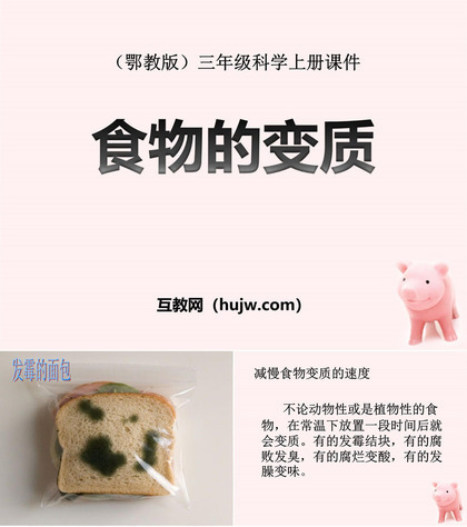 《食物的变质》生活中的食物PPT课件下载