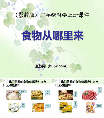 《食物从哪里来》生活中的食物PPT课件下载2