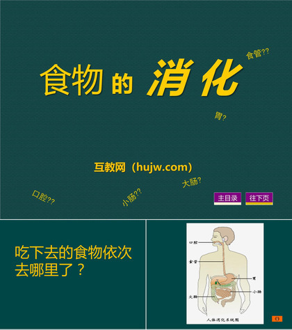 《食物的消化》生活中的食物PPT课件下载