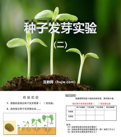 《种子发芽实验(二)》生物与环境PPT课件下载4