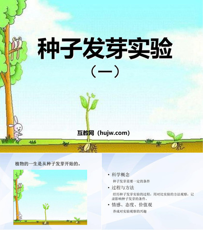 《种子发芽实验(一)》生物与环境PPT课件下载