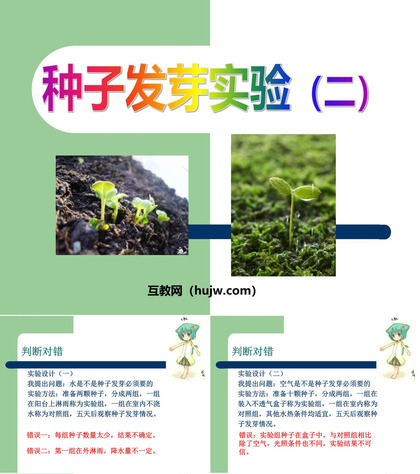 《种子发芽实验(二)》生物与环境PPT课件下载3