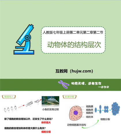 《动物体的结构层次》PPT免费课件