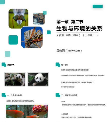 《生物与环境的关系》PPT精品课件