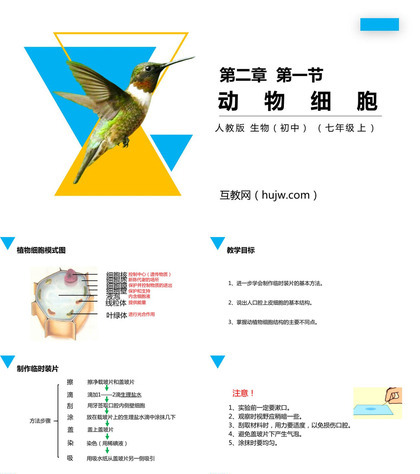 《动物细胞》PPT精品课件