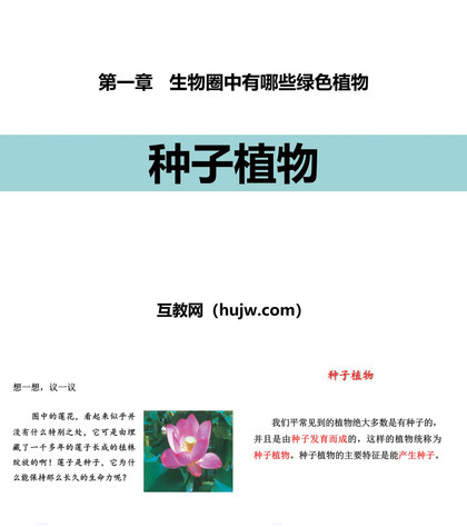 《种子植物》PPT优质课件