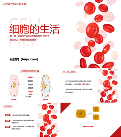 《细胞的生活》PPT教学课件