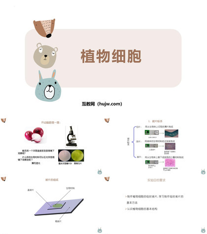 《植物细胞》PPT教学课件下载