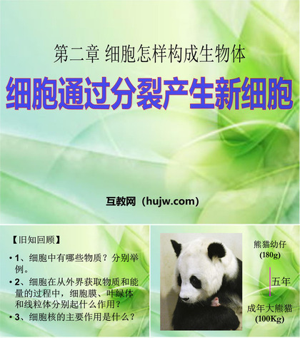 《细胞通过分裂产生新细胞》细胞怎样构成生物体PPT课件下载