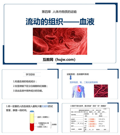 《流动的组织-血液》PPT教学课件